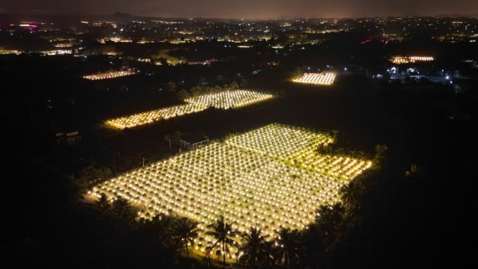 Jardín de fruta del dragón en la comuna de Ham My, distrito de Ham Thuan Nam, iluminado por la noche, noviembre de 2023. Foto: Viet Quoc