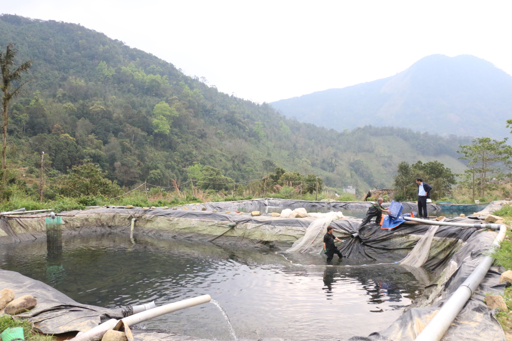 東北農水産業開発協同組合