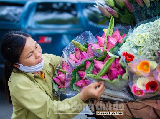 sen da u mu a xuo ng pho khoe sac khap duong pho ha noi