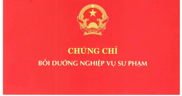 Tiến sĩ giả từng cung cấp bằng thạc sĩ công chứng, chứng chỉ nghiệp vụ sư phạm