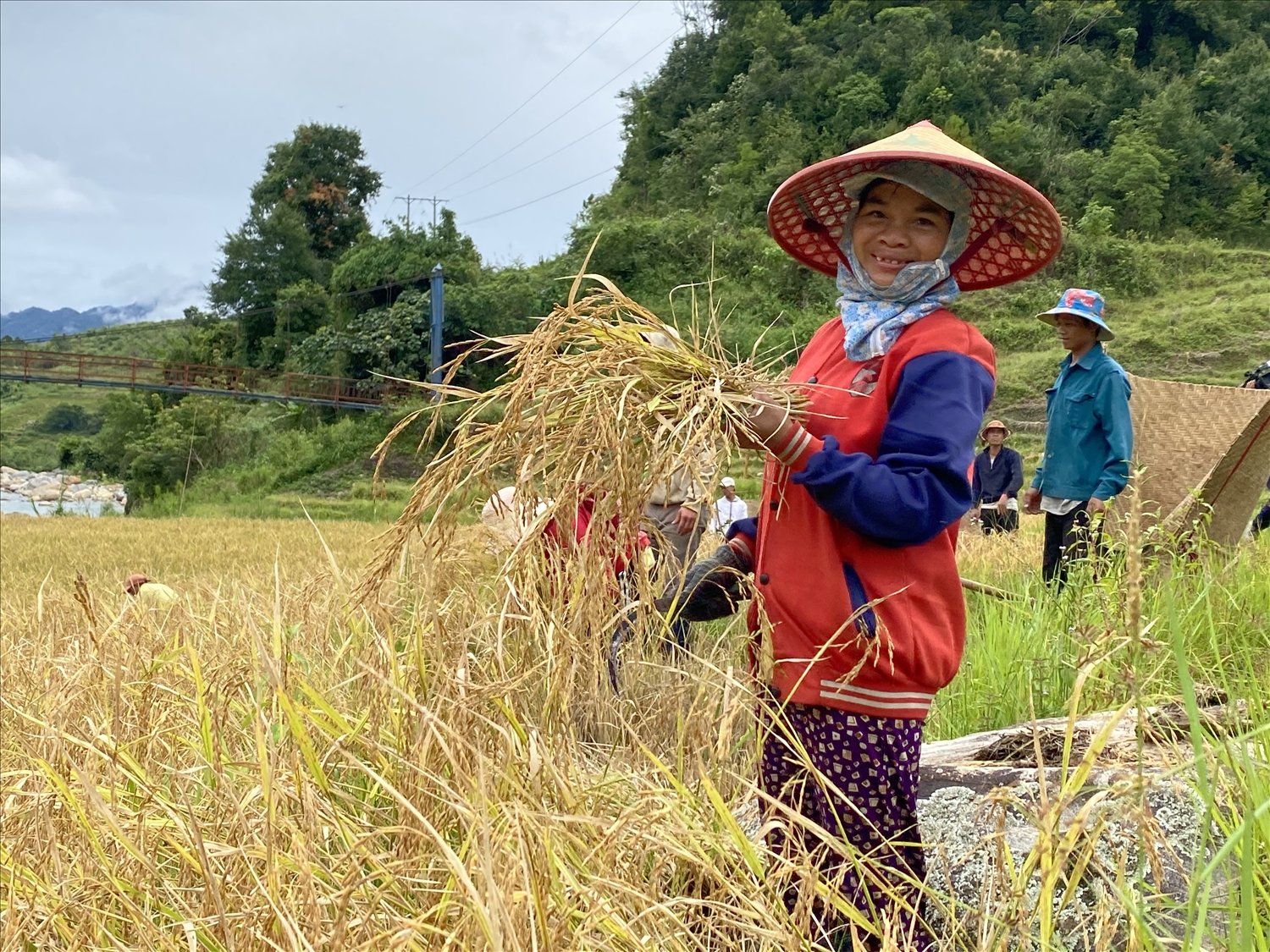 Các cấp chính quyền tỉnh Kon Tum đang hỗ trợ, hướng dẫn đồng bào Xơ Đăng ở xã Ngọc Linh, xã Mường Hoong canh tác lúa 2 vụ