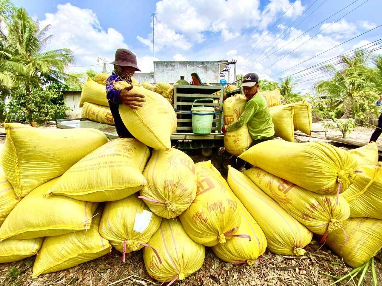 VN có khả năng tăng nhập khẩu gạo