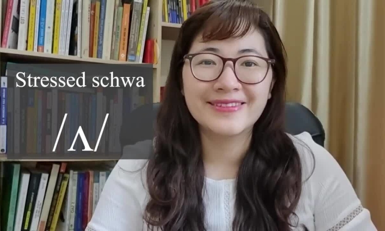 Guía de sonido de Schwab