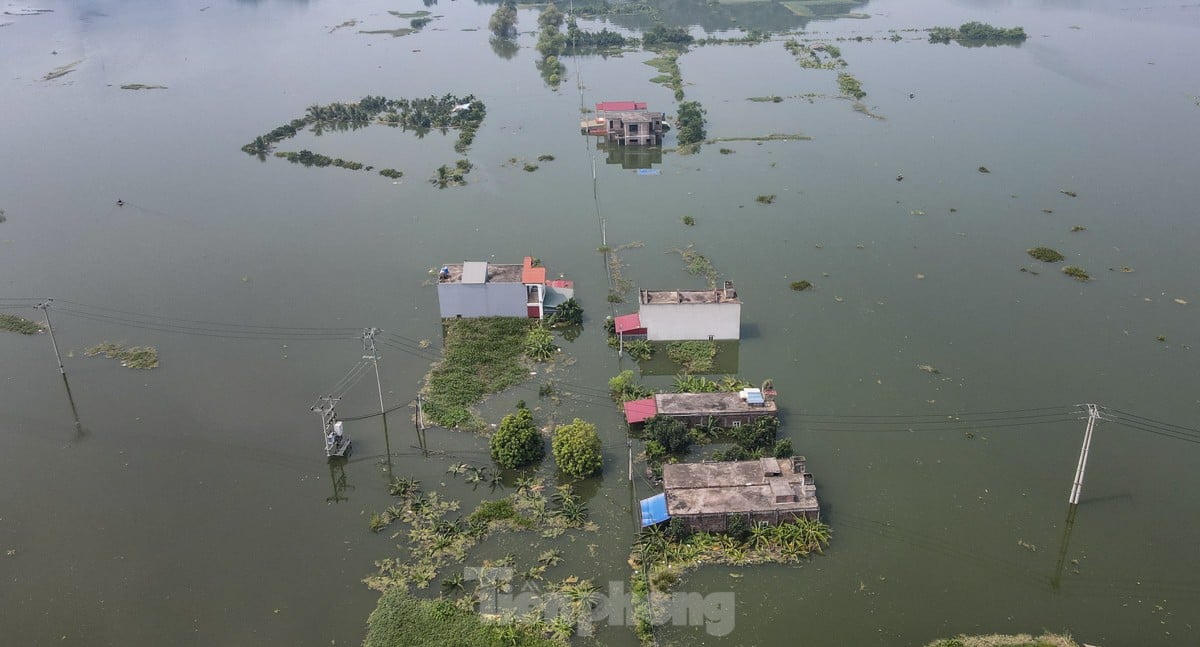 Une « inondation forestière » submerge des centaines de maisons dans la banlieue de Hanoi, photo 2