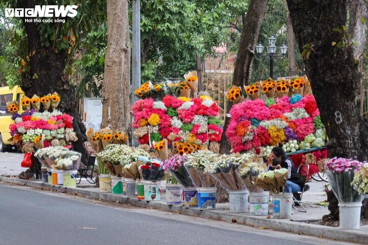 Sát ngày 20/11, hoa tươi tăng giá mạnh  - 2