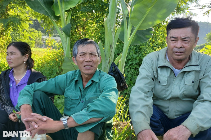 Nai lưng trồng rau má, tưởng thoát nghèo, nhiều hộ dân lại bị bùng tiền - 1