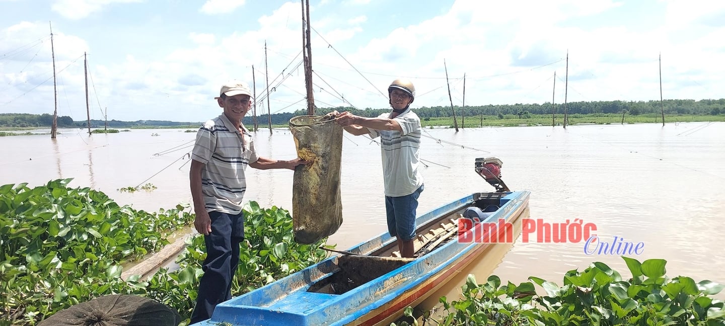 Ra dòng sông Sài Gòn chảy qua nơi này của Bình Phước, thấy dân kéo vó bè bắt toàn cá ngon- Ảnh 1.