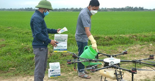 Ưu tiên phê duyệt thuốc bảo vệ thực vật sinh học hơn thuốc hóa học