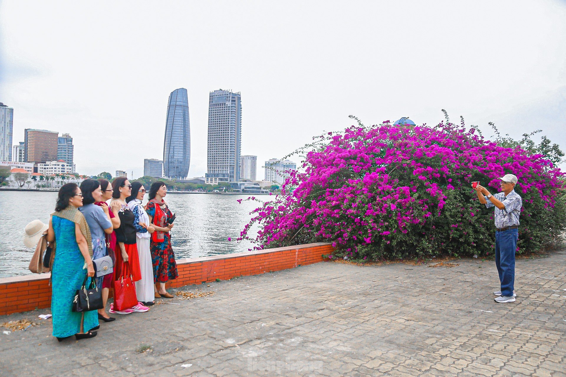 'Fiebre' con las brillantes flores de buganvilla floreciendo en ambas orillas del río Han foto 14