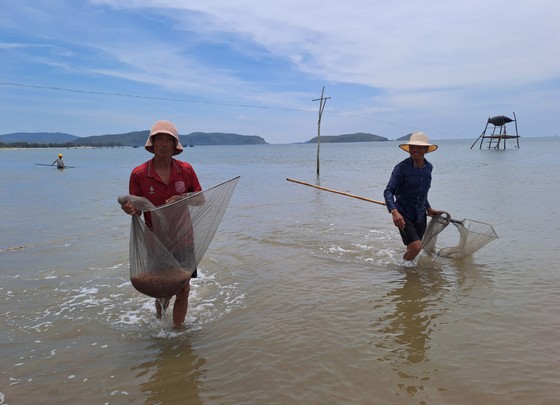 กว่างบิ่ญ : ชาวประมงจับกุ้งทะเลได้เยอะ ภาพที่ 3