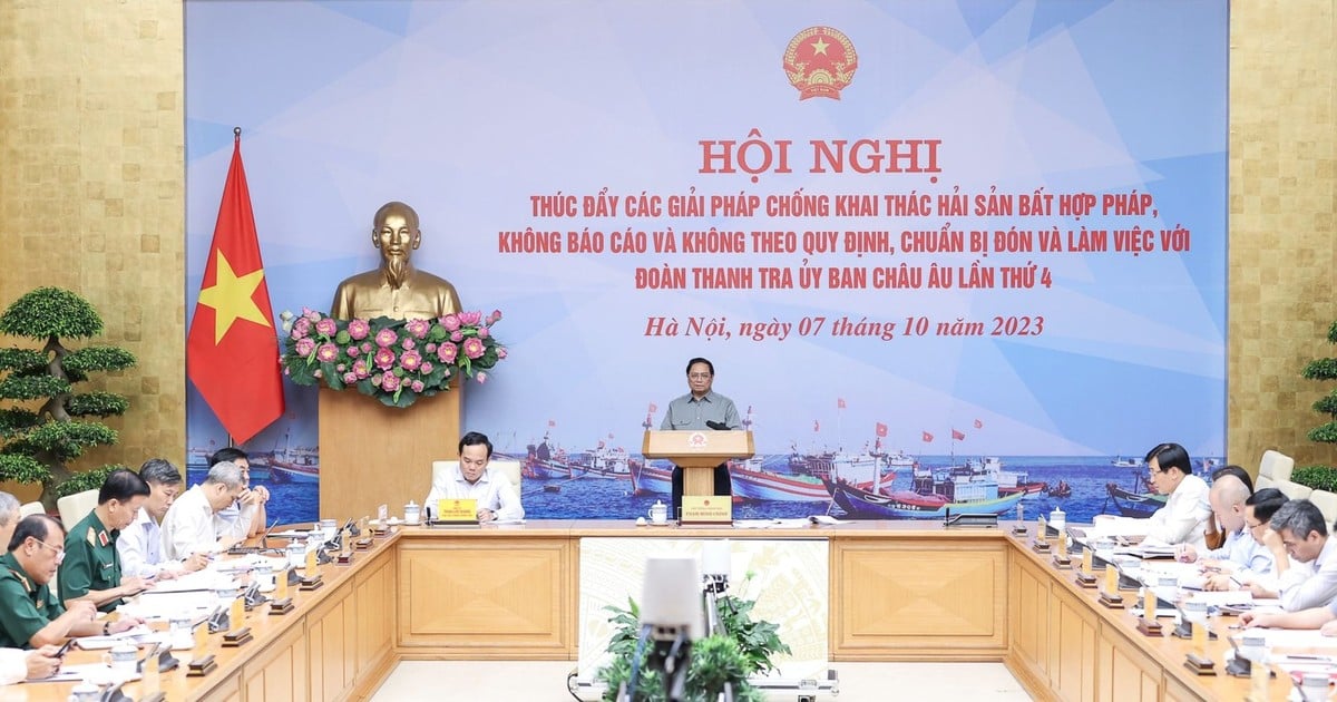 Cương quyết xử lý vi phạm khai thác hải sản bất hợp pháp