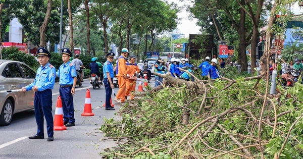 Hanoi is busy cleaning up tens of thousands of fallen trees after storm No. 3