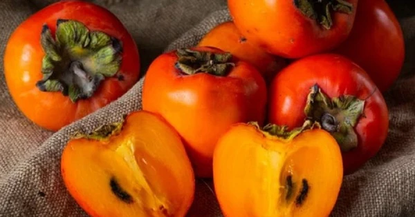 Unexpected health benefits of persimmons