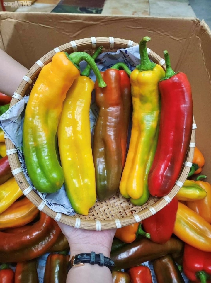 'Super big' chili peppers are expensive, customers wait a month to order - 4