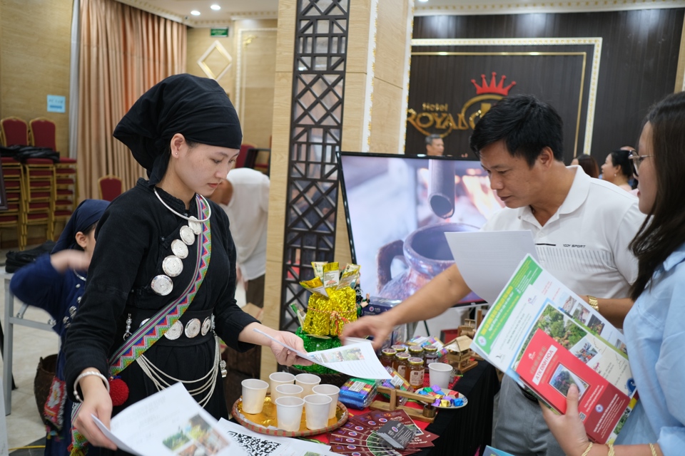 Besucher der Konferenz zur Förderung und Werbung für Tourismusprodukte der Orte Phu Tho, Vinh Phuc und Thai Nguyen im August 2024. Foto: Sy Hao