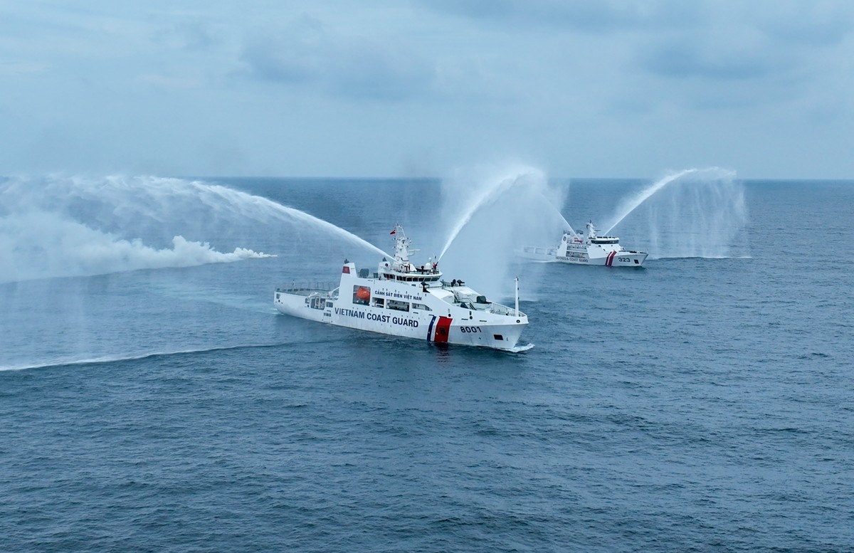 Vietnam - Indonesia Coast Guard conducts joint training at sea photo 2