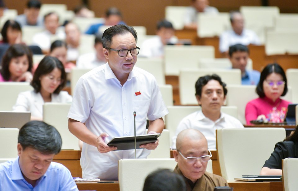 Delegado Nguyen Truc Anh (Delegación de la Asamblea Nacional de la ciudad de Hanoi)