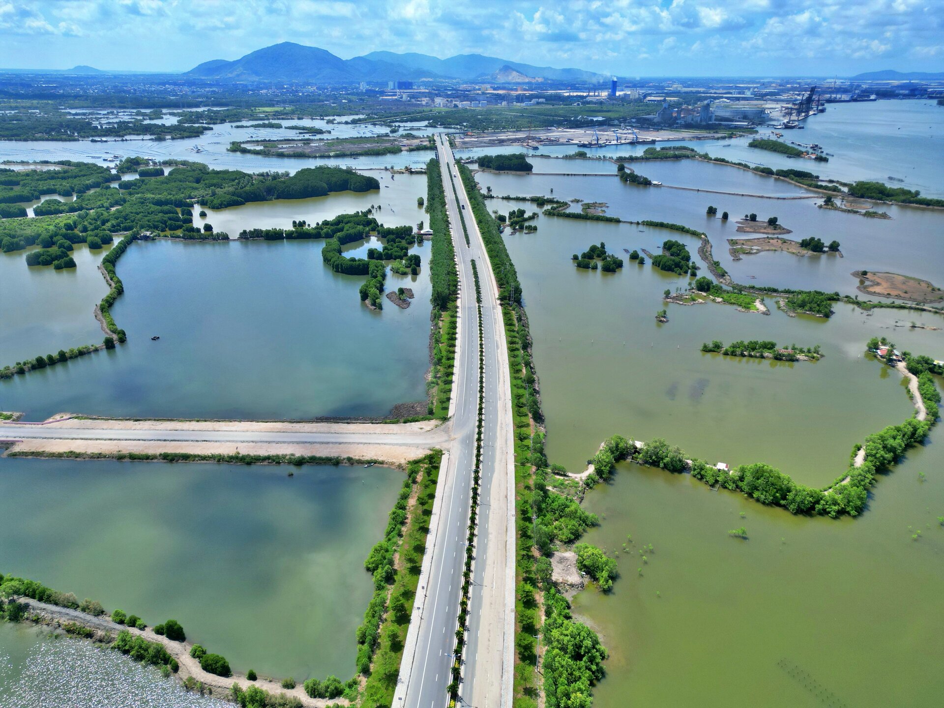 Close-up of the trillion-dollar bridge connecting Ba Ria - Vung Tau with Dong Nai after more than 1 year of construction - 3