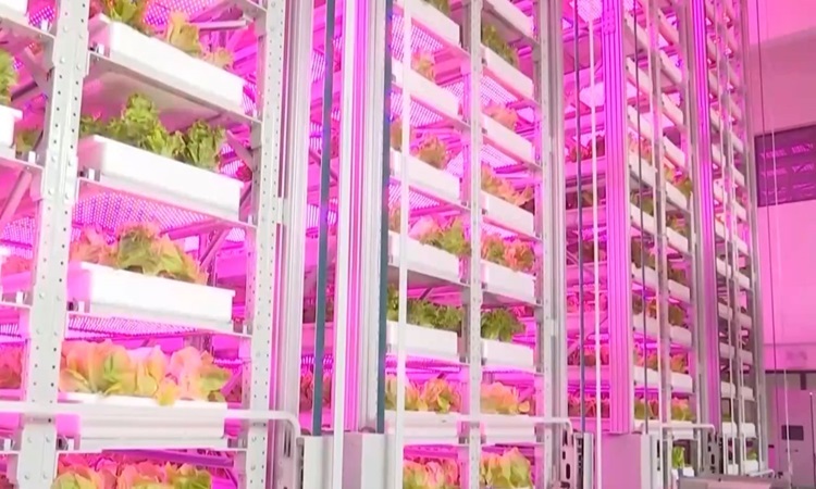 La première ferme verticale automatisée de 20 étages au monde