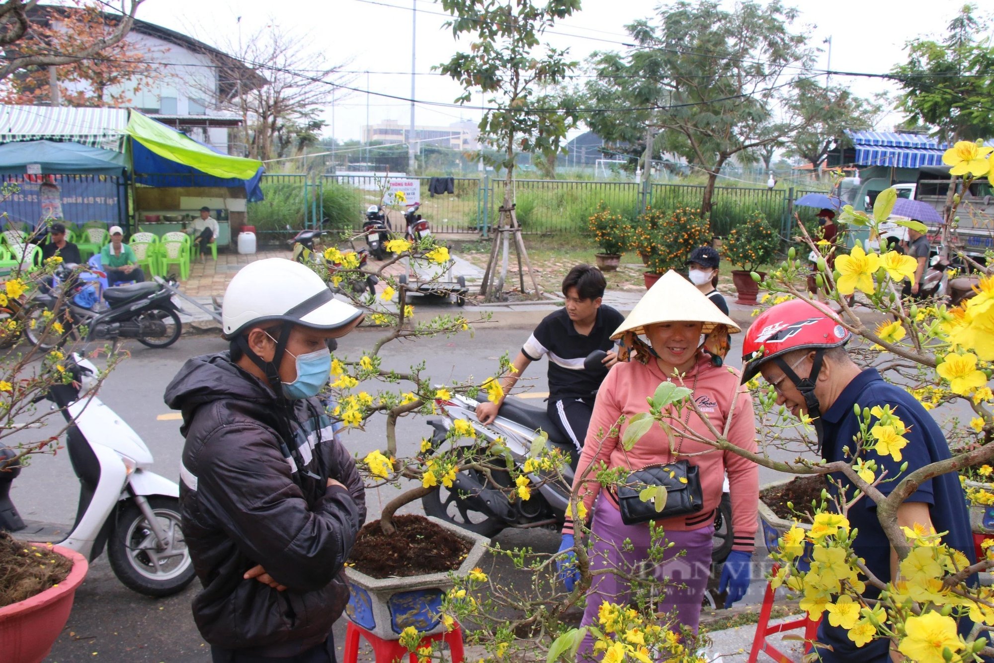 29 Tết, thương lái đồng loạt 