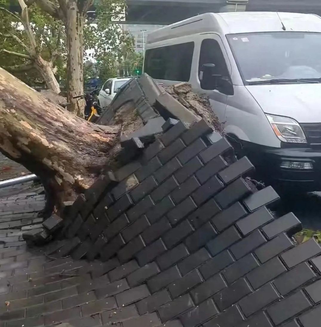 台風ベビンカが中国上海市を襲う 写真1