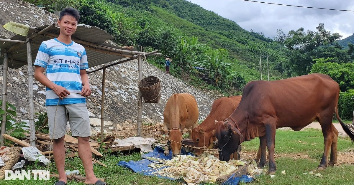 Bí quyết giúp người dân "đổi đời" sau trận lũ lịch sử, lãi cả trăm triệu