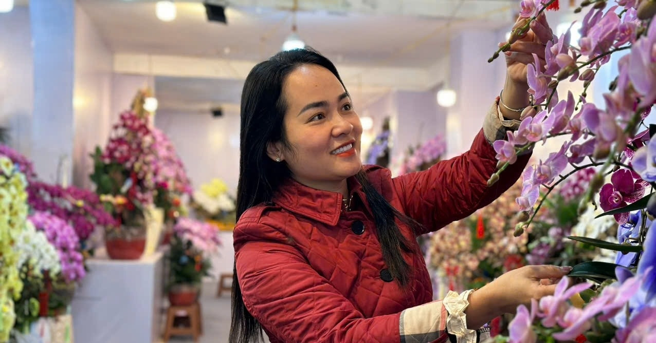 រាប់មែកដើម្បីប្រមូលលុយ អ្នករៀបចំផ្កាអ័រគីដេ ដាក់ហោប៉ៅ ៣លានដុង/ថ្ងៃ