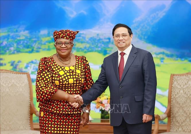 Prime Minister Pham Minh Chinh receives Director General of the World Trade Organization