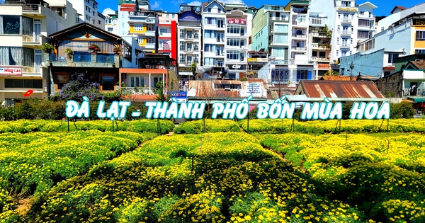 Da Lat est rayonnante de fleurs à l'occasion de son 130e anniversaire