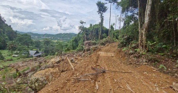 Bac Kan strictly handles the case of quarry land being collected and road built before auction