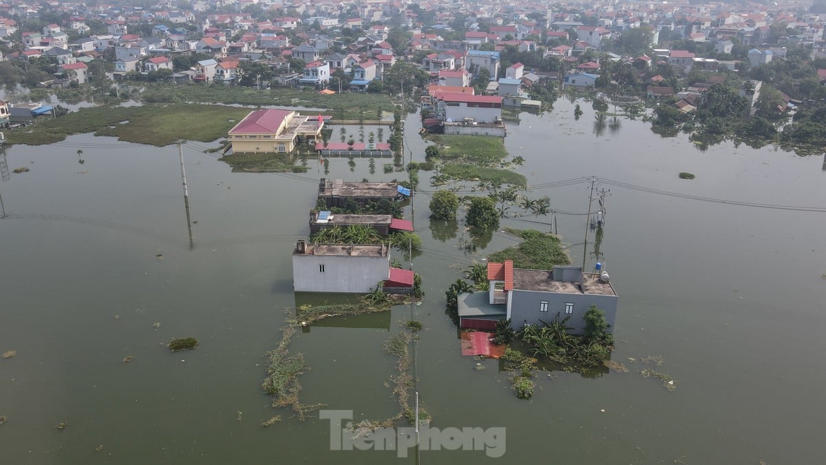 Une « inondation forestière » submerge des centaines de maisons dans la banlieue de Hanoi, photo 11