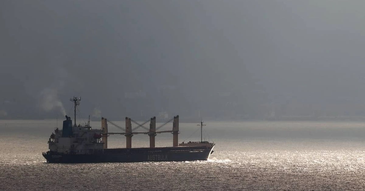 Houthi admits attacking 4 cargo ships