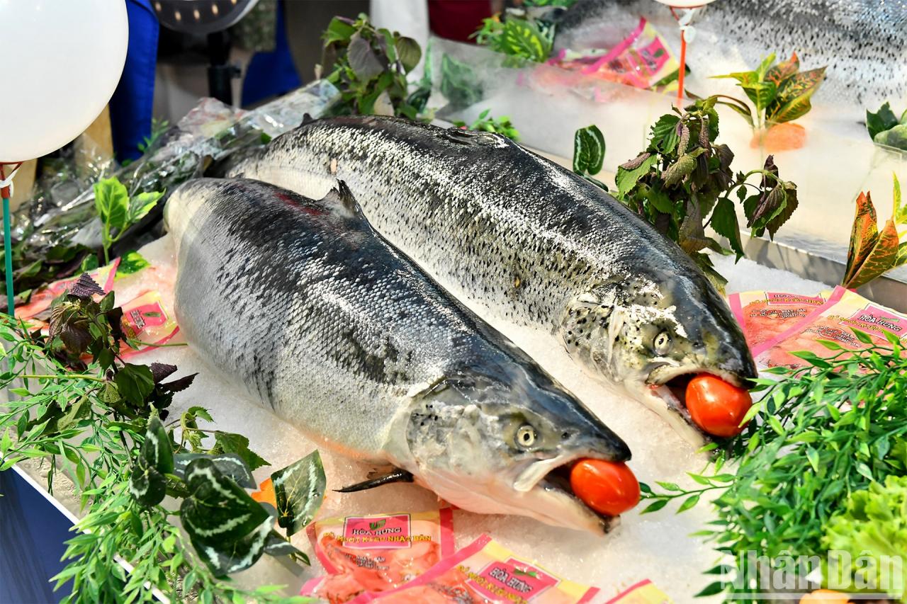 [Photo] Norwegian Ambassador prepares salmon dish for guests photo 5