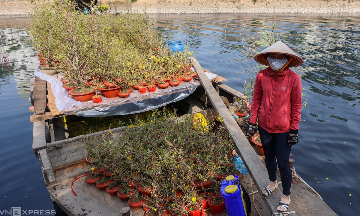 Ho Chi Minh-Ville rachètera les fleurs invendues du Têt aux commerçants