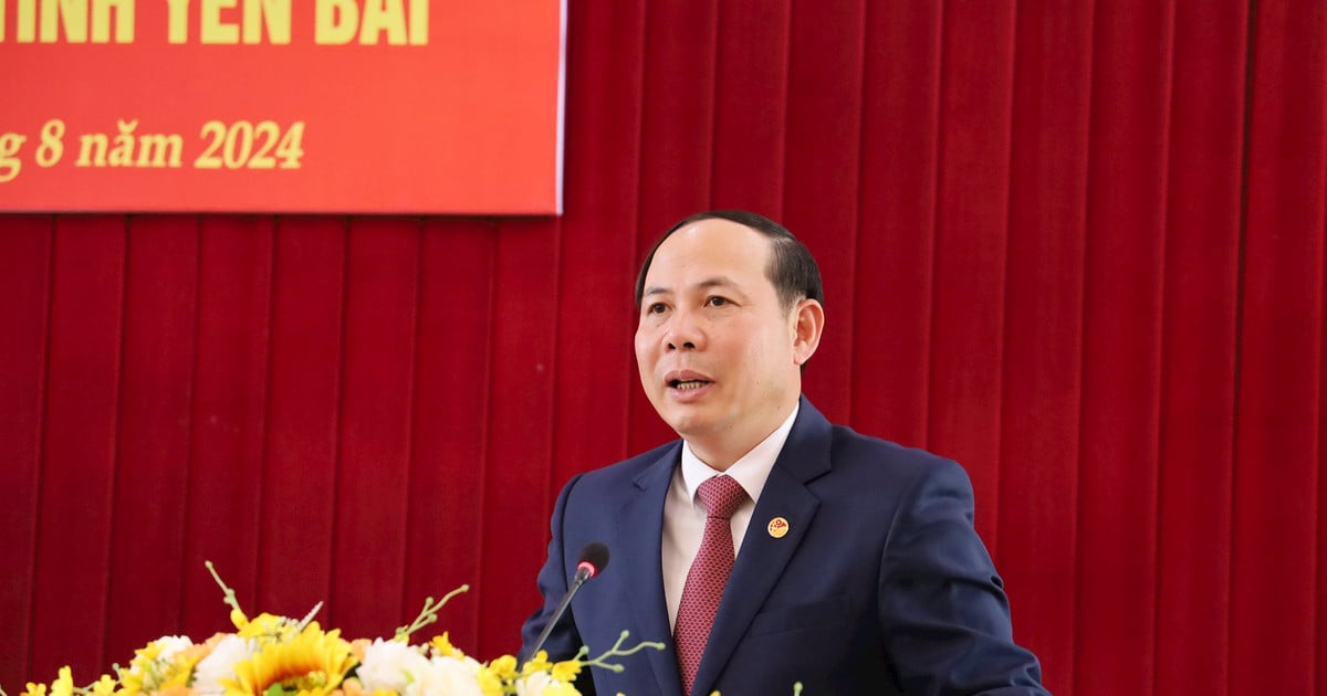 Chief of Office of Yen Bai Provincial Party Committee Tran Ngoc Luan was transferred to become Director of Department of Natural Resources and Environment.