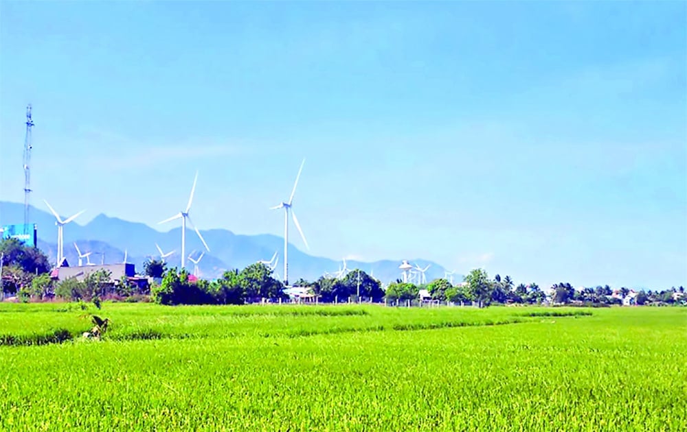 Ninh Thuan creates sustainable growth momentum