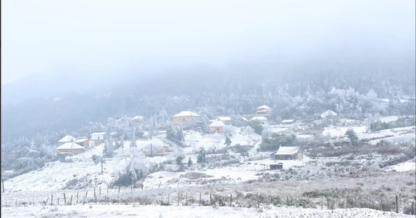 ¿Cómo afectará El Niño a este invierno?