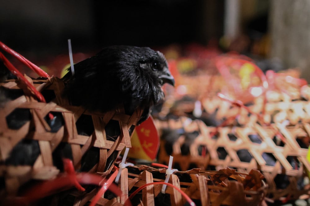 Das einzige hier verkaufte Geflügel ist das schwarze Huhn, ein Symbol für Mysterium und Spiritualität.