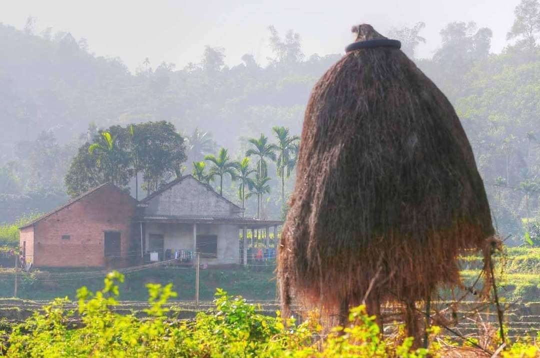 Campagne paisible. Photo : Vu Cong Dien