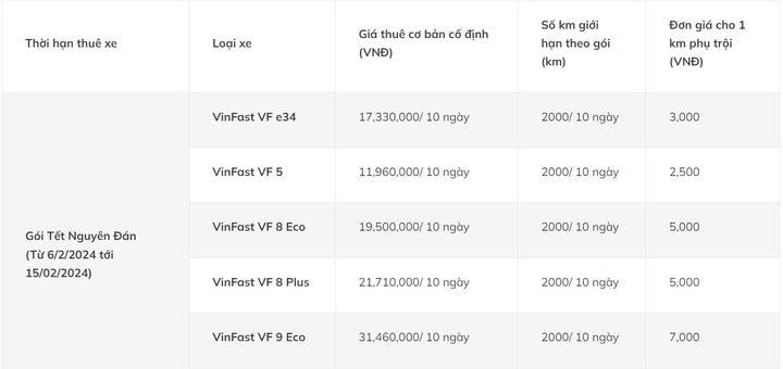 Price list for self-drive car rental during Lunar New Year of Xanh SM. (Screenshot)