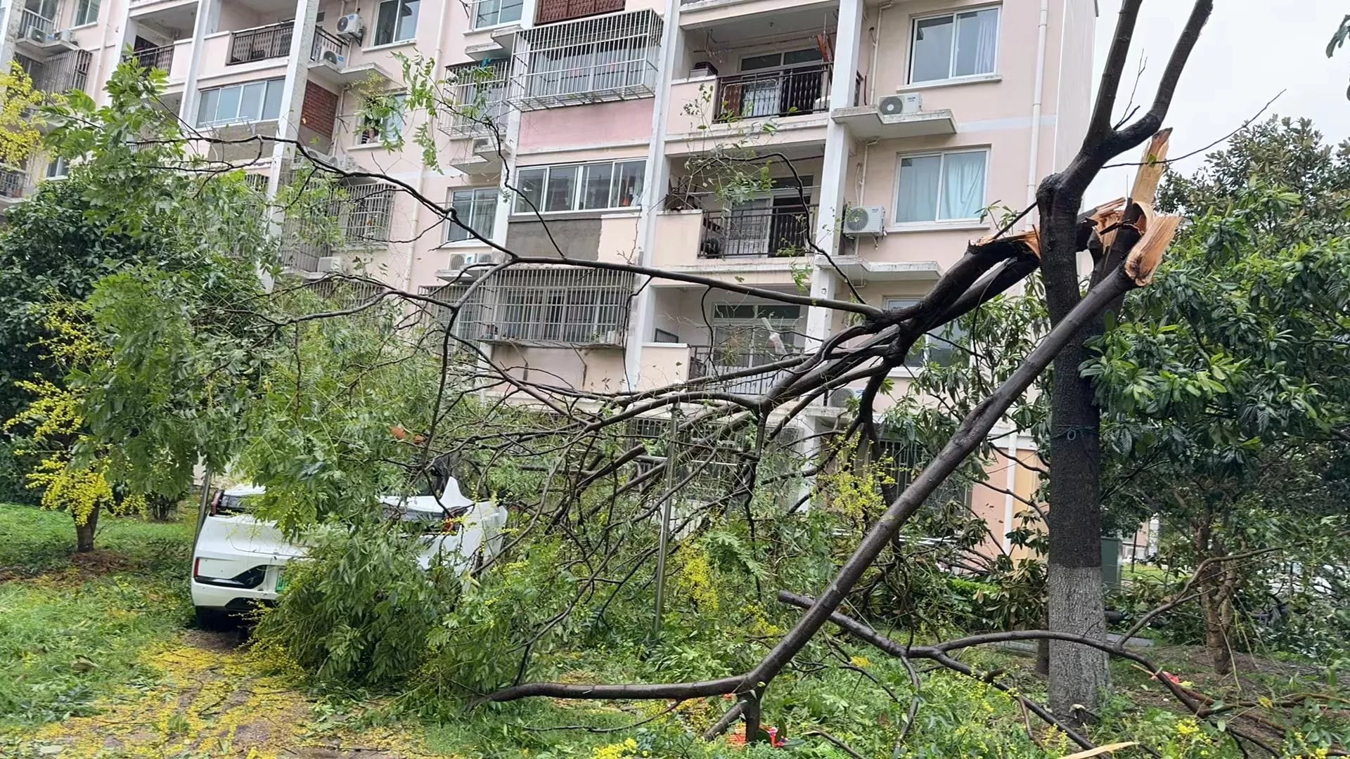 台風ベビンカが中国上海市を襲う 写真6