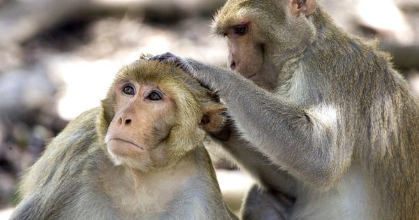 5 signos del zodiaco masculinos que se casan tarde pero tienen una carrera estable