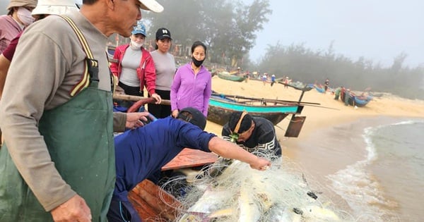 ប្រជានេសាទ​នៅ​ស្រុក​ដែល​ជា​តំបន់​ធំ​ទី​៣​ក្នុង​ប្រទេស​ចាប់​បាន​ត្រី បង្គា​ជិត​១២​ម៉ឺន​តោន...