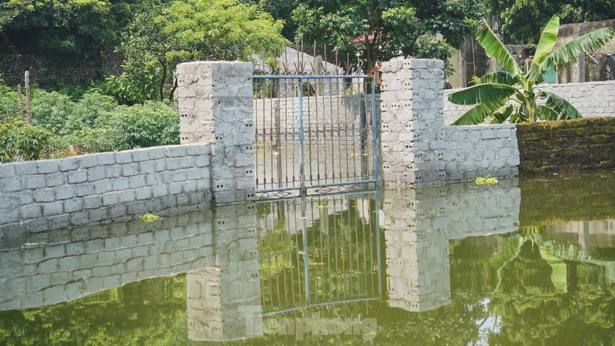 Une « inondation forestière » submerge des centaines de maisons dans la banlieue de Hanoi, photo 15