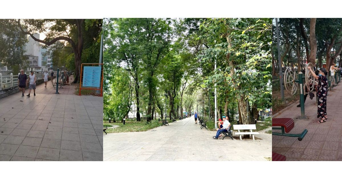 Un jardín de flores abandonado "revivió"