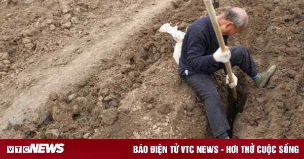 En volant des objets dans une ancienne tombe, un vieux fermier s'est retrouvé soudainement confronté à un grand « désastre » après quelques années