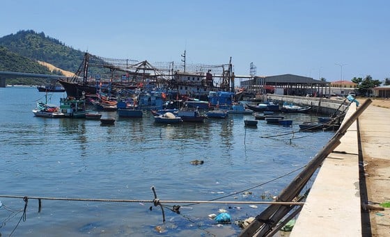 Garbage floods estuaries and fishing ports in Binh Dinh photo 4