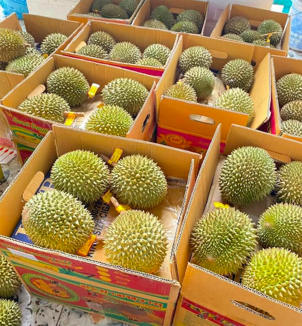 Sầu riêng Thái mini tràn vào nội địa có đáng ngại?- Ảnh 1.