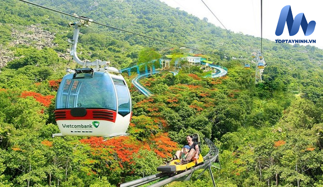 Di chuyển bằng cáp treo ngắm toàn cảnh thiên nhiên từ trên cao.
