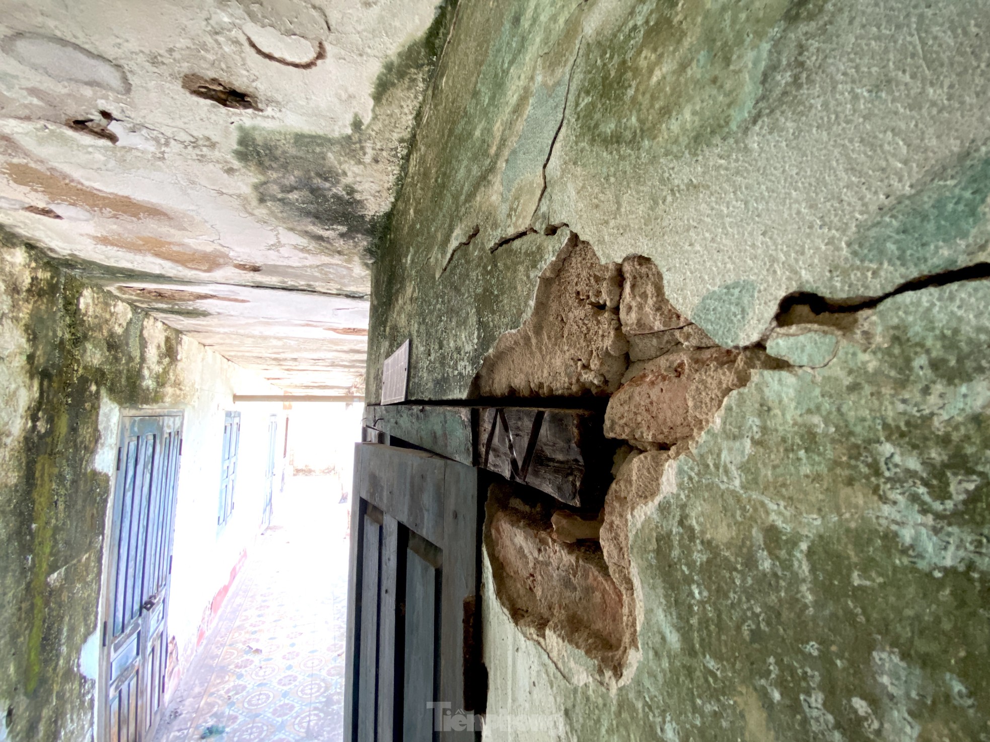 The desolation of the 'abandoned' railway line in Nghe An photo 11